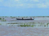 Boat in flooded lowlands