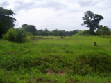 Field with earthworks